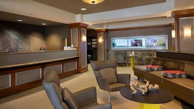 SpringHill Suites by Marriott Tampa Westshore Airport hotel detail image 3